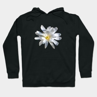 beautiful white flower Hoodie